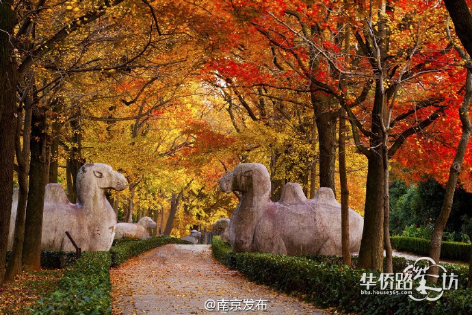 旅游景点：_景点旅游推荐_贵港有什么好玩的景点旅游