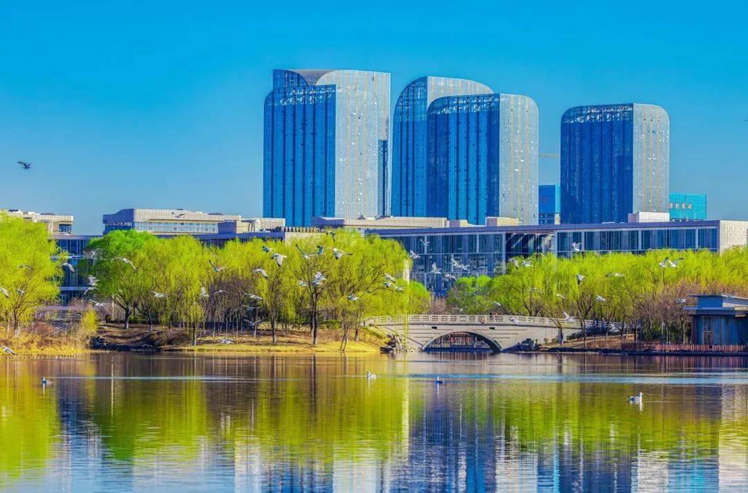 北京大兴新城西片区花园城市规划设计方案国际征集活动启动