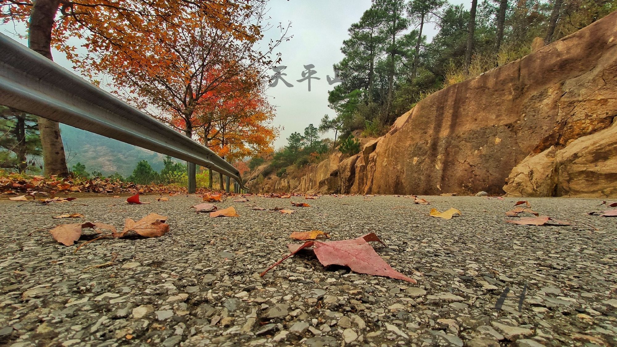 景点门票需要身份证吗_景点门票从哪里买比较便宜_景点门票：