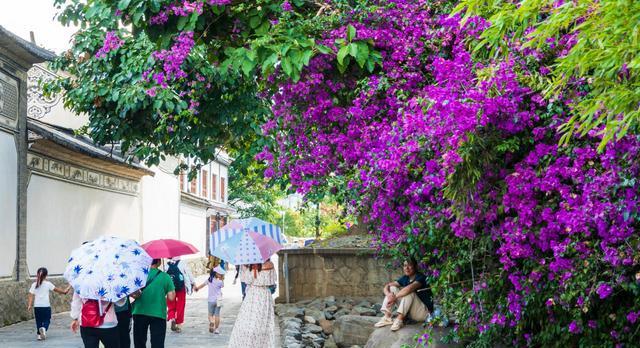 既然不快乐又不喜欢这里,不如一路向西去大理