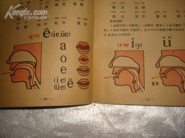 拼音声母韵母26个表_拼音：_拼音表