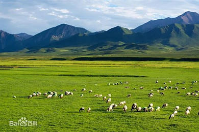 张掖天气预报_张掖_张掖技术合同成交额开门红