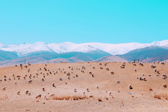 海东广场_海东_海东红狮