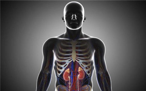 养生：_养生壶_养生课堂