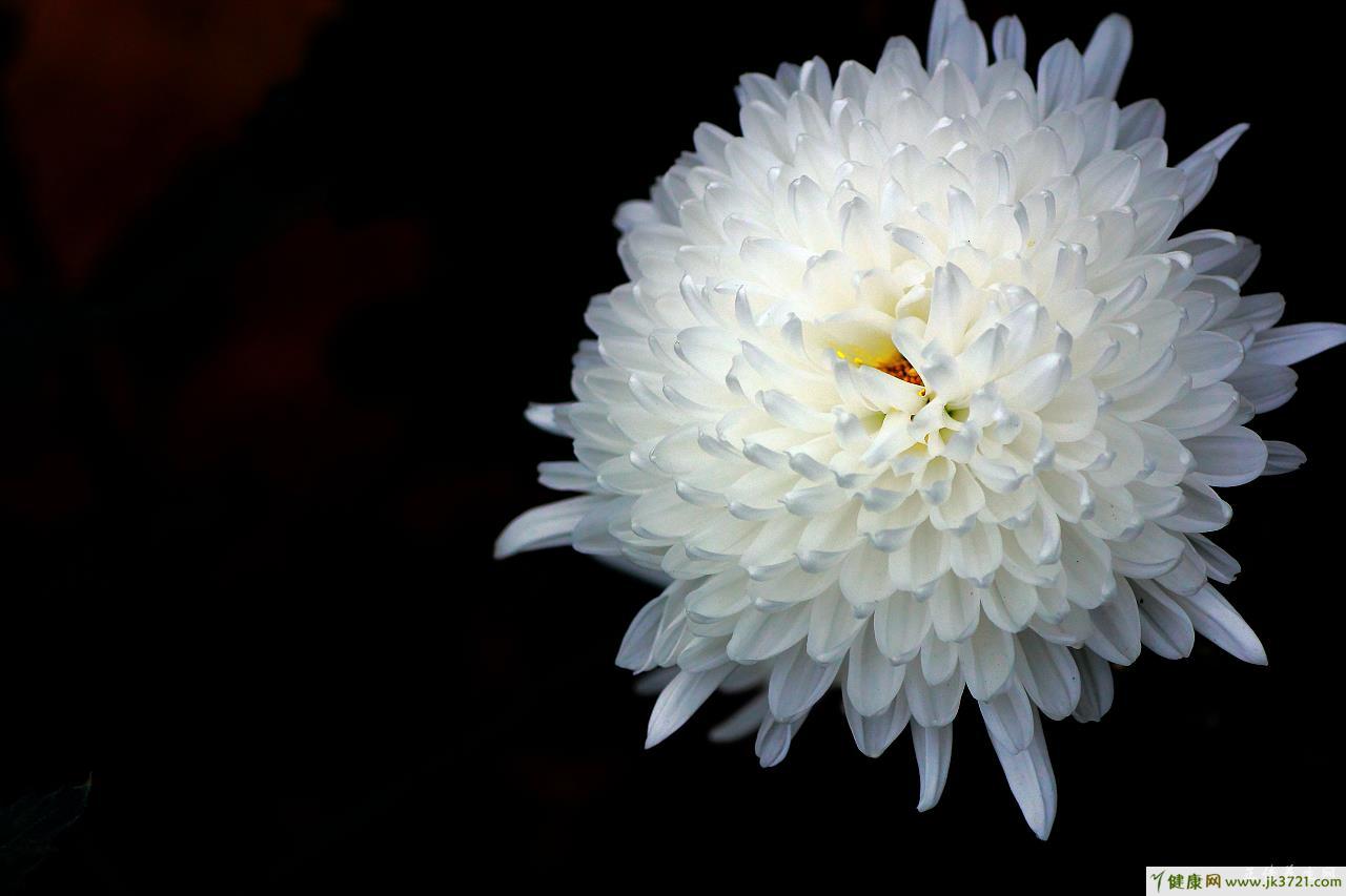 阿里健康大药房:感冒咳嗽的几种药,你知道吗?