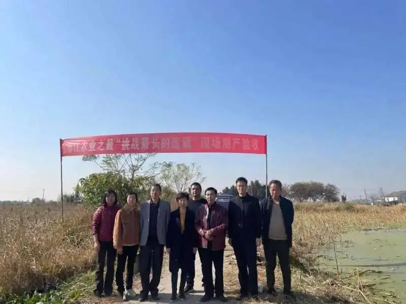 宝应县特产有哪些?县的特产盘点!!(图2) 宝应县_宝应县_宝应县