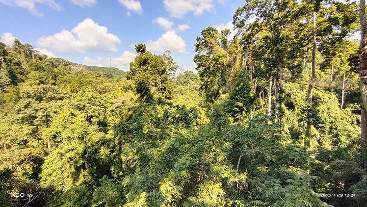 西双版纳旅游景点有哪些？西双版纳热带植物园怎么样？