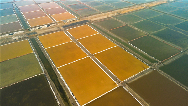 (11月财经新势力)东北地区或迎来新机遇(图3) 营口营口景点_营口_营口国际酒店