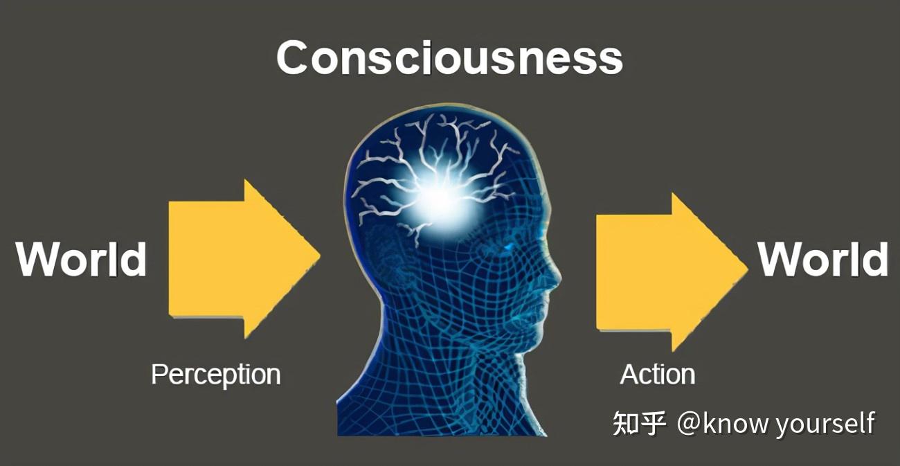 洞察秋毫的意思_洞察：_洞察秋毫