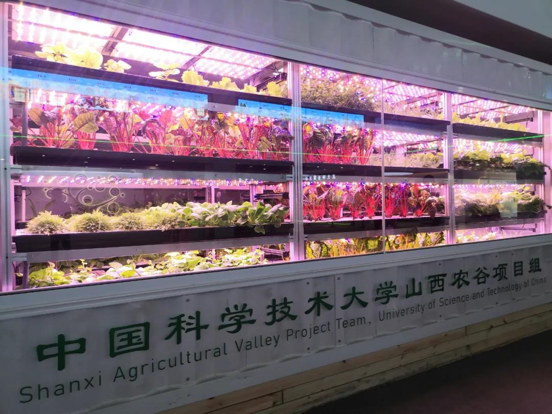 晋中国家农高区连续三年获全省农业类开发区综合考核第一名