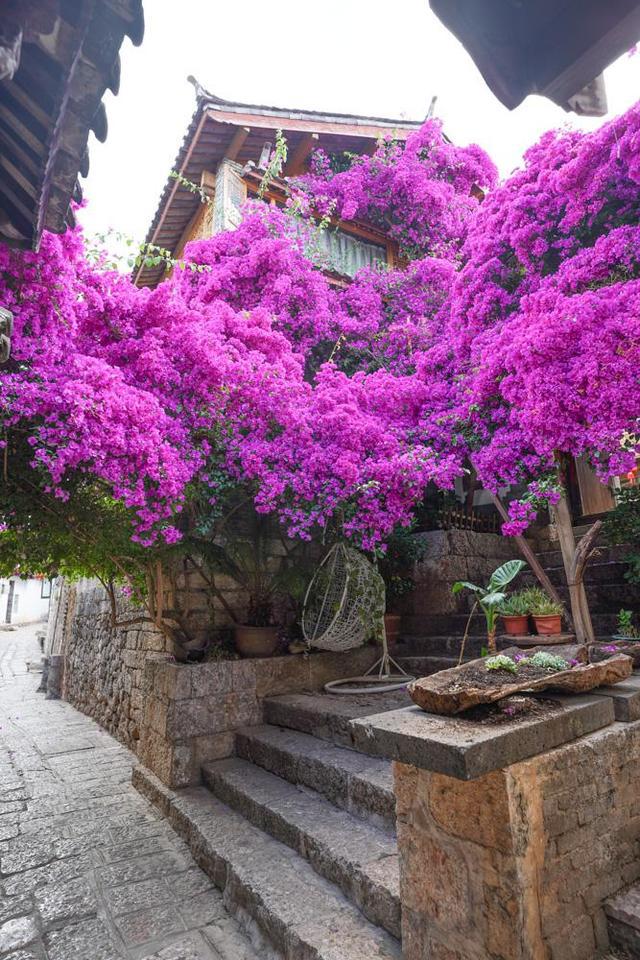 丽江早晚温差大，旅游注意事项！！（建议收藏）