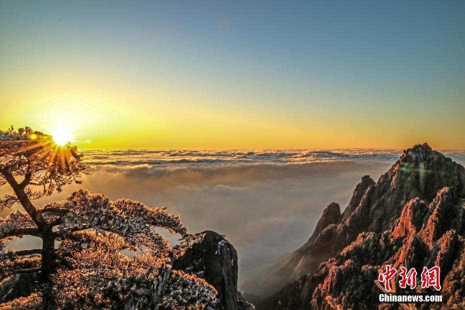 黄山最美之处在于云海,在于奇松,也想看得到