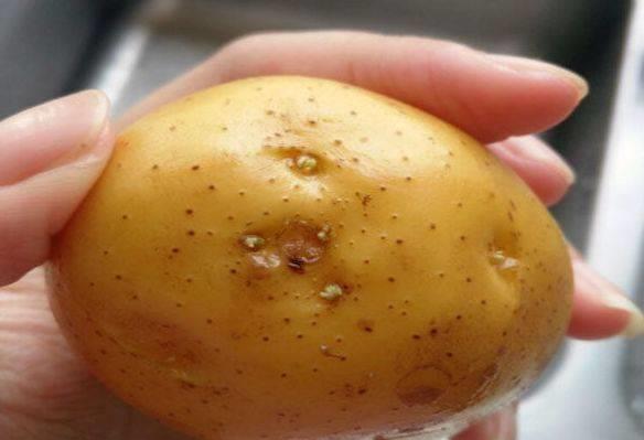 更年期性生活易被忽略更年期是每个女性都会经历的过程