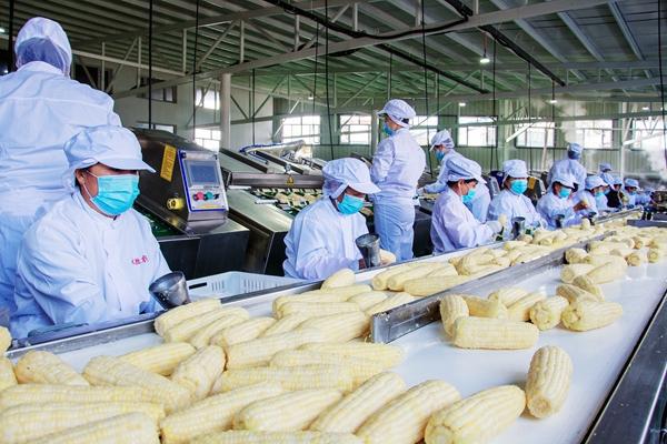 双鸭山到北京_双鸭山户外_双鸭山