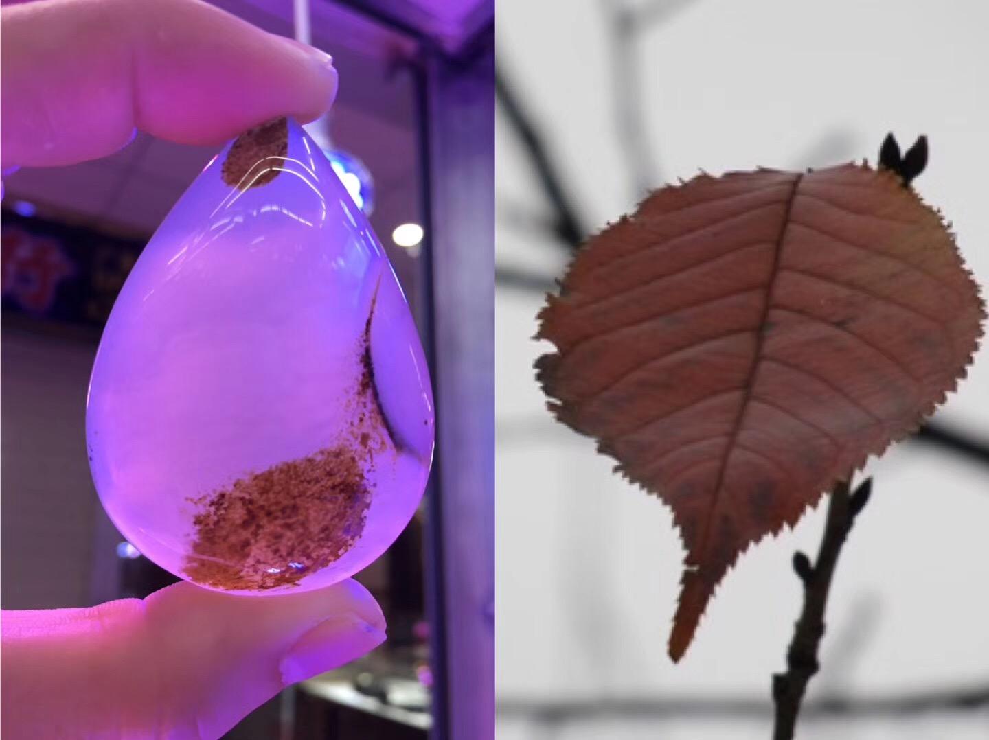 玉髓：_玉髓与玉什么区别_玉髓多少钱