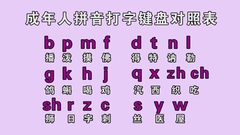 汉语拼音字母和一些附加符号的表示汉语的发音