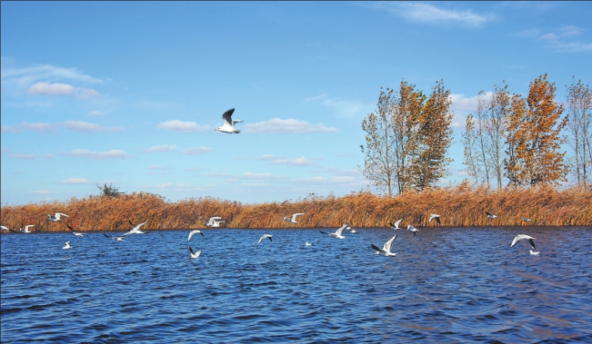(传奇)双鸭山市常住人口为人知的事儿
