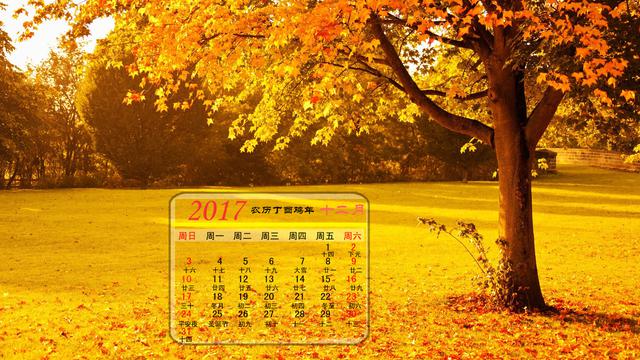 2024年和16年都是闰年,一时掀起一阵淘旧日历热潮