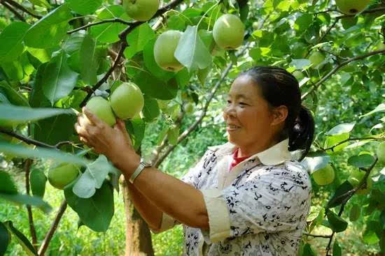 原平市木图村：乡村公路通到了