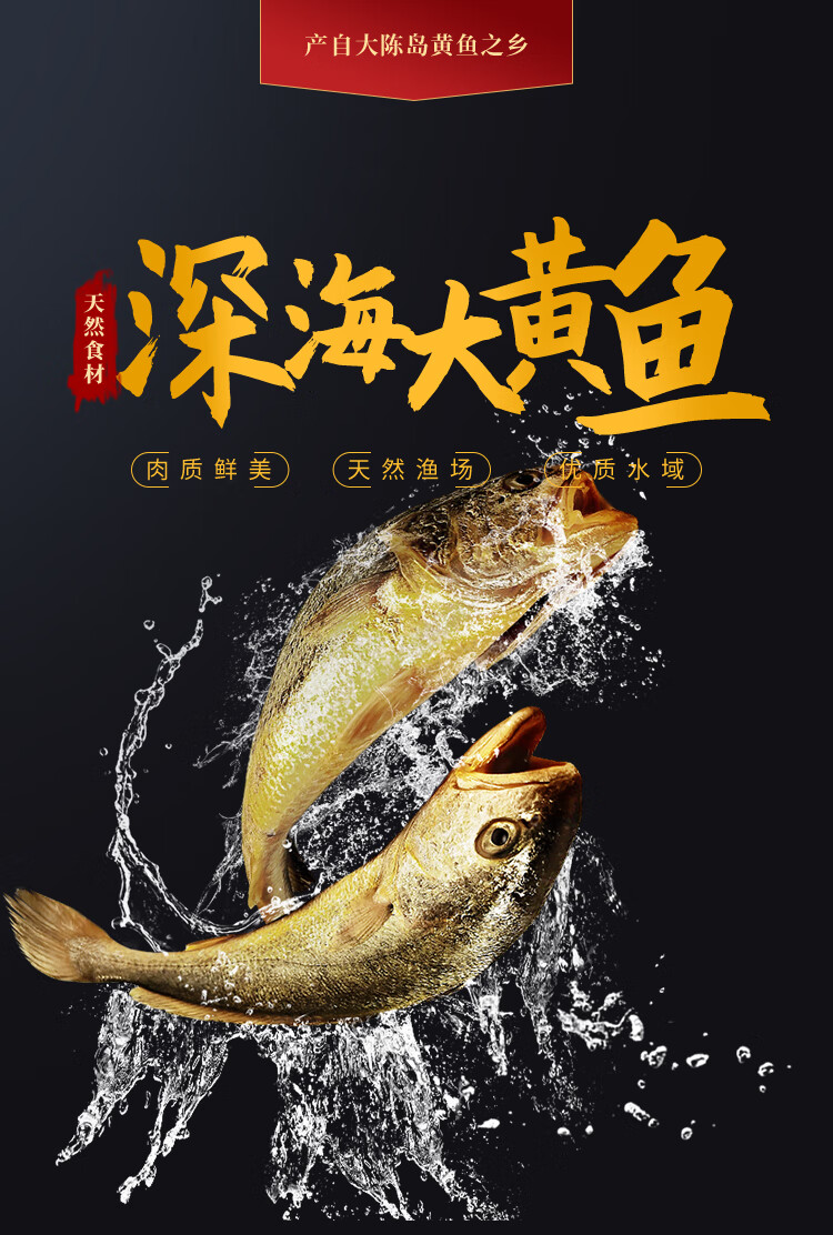 这十年，看我神州鱼跃水清人欢颜|引言