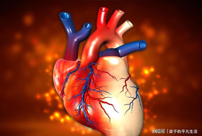 心病的意思_心病有哪些_心病：