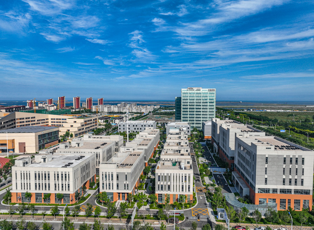 衡水抓住北京非首都功能疏解“牛鼻子”主动融入京津冀协同发展
