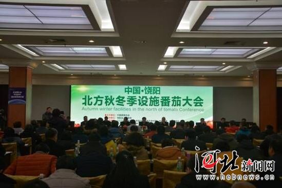 衡水_衡水招聘网_衡水天气