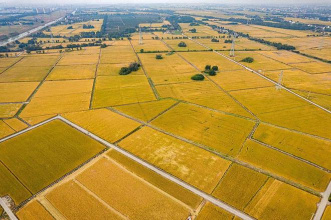 新沂民生论坛_新沂_新沂麻将