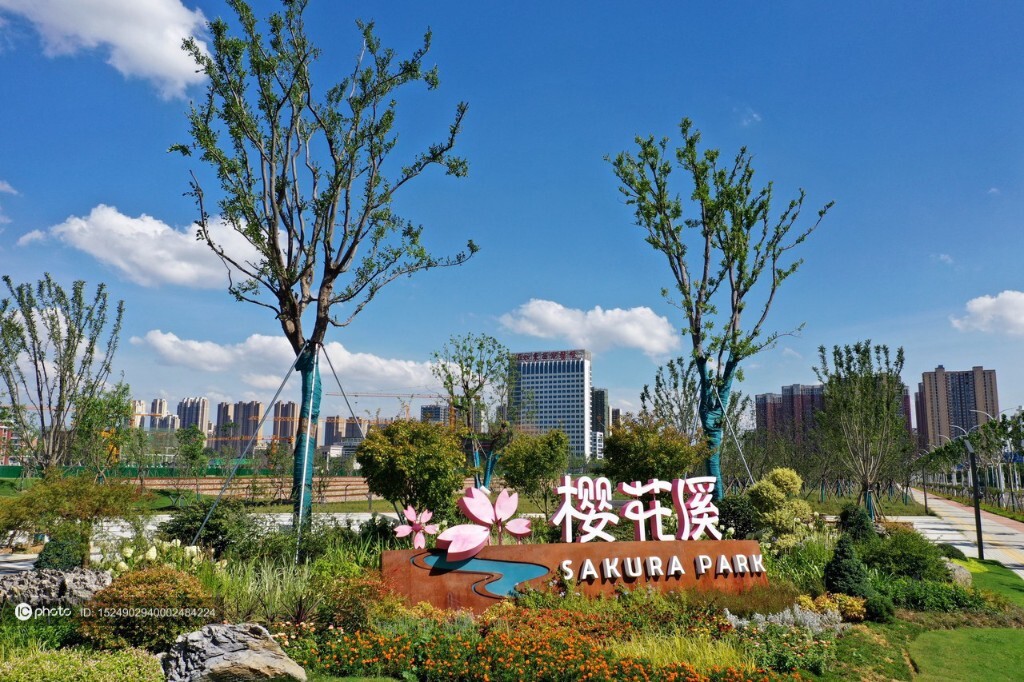 武夷山发现5个昆虫新种短突黄隐肩舞