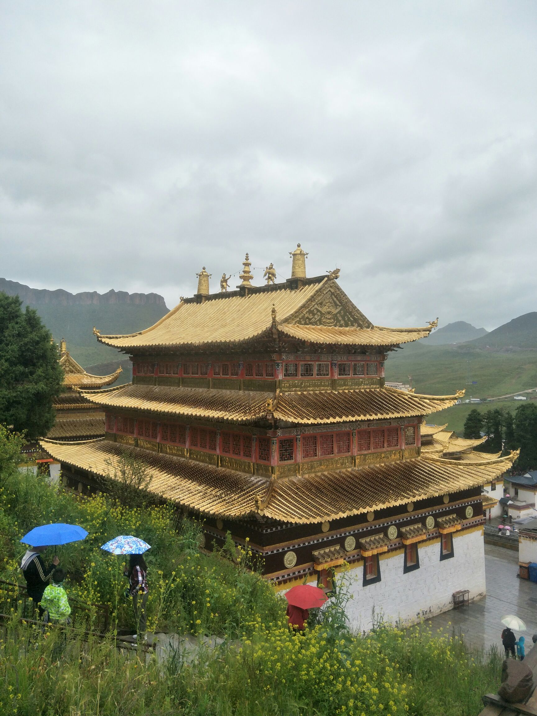 颠覆你对甘肃认知的地方，它就是甘南！