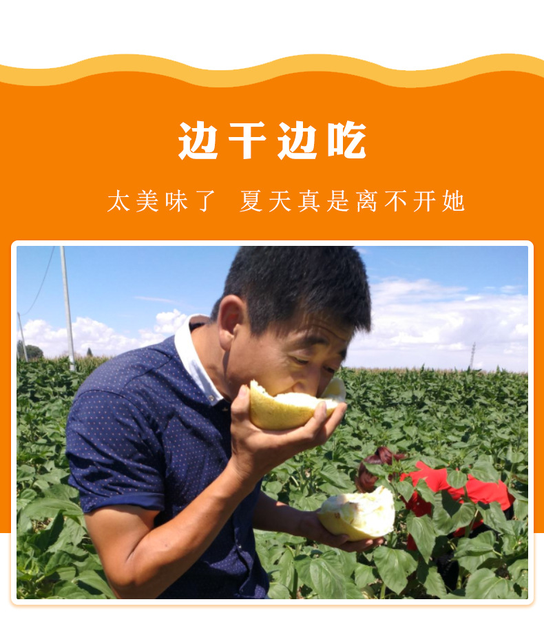 兰州兰州_兰州_兰州兰州