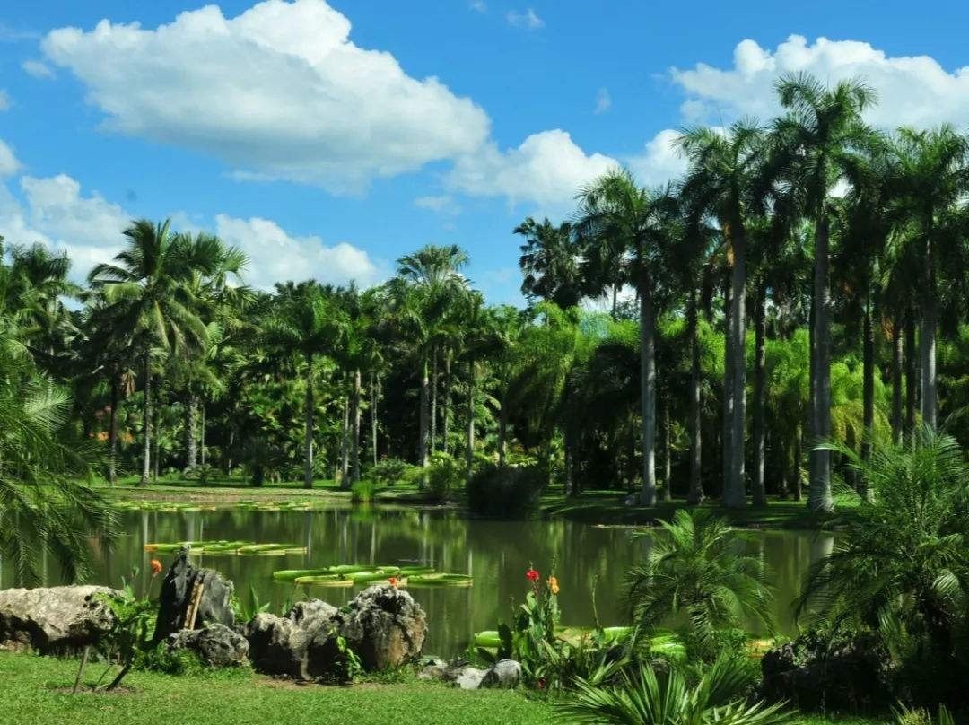 西双版纳小知识主要景点盘点及避雷防坑注意事项!