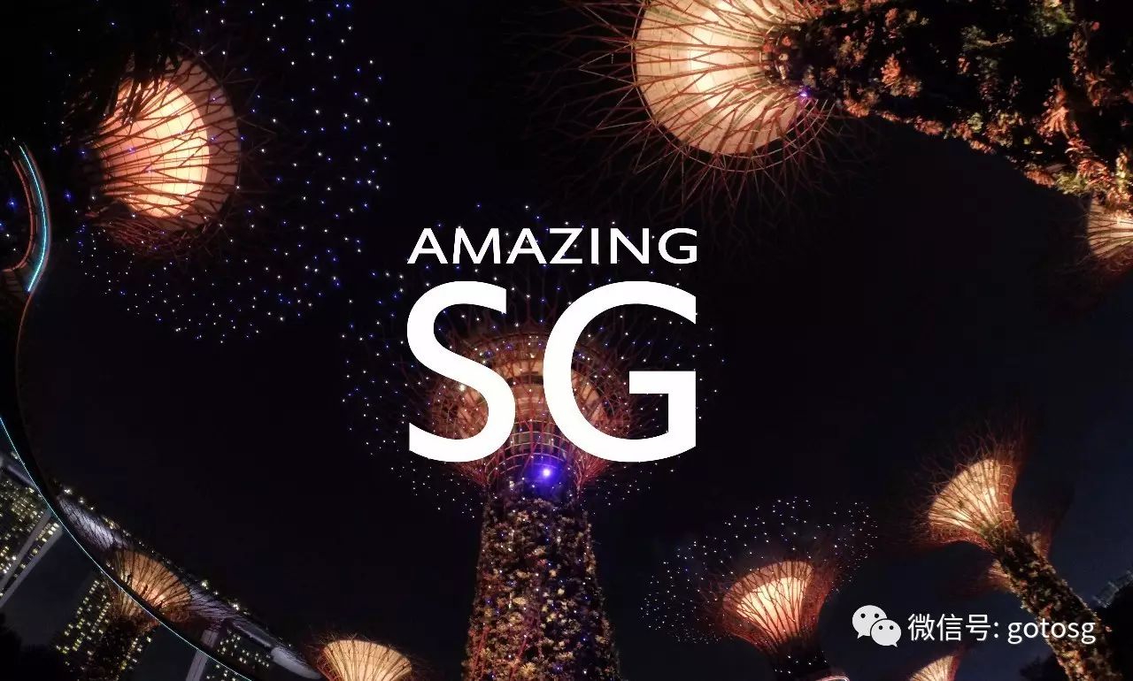 新闻综合女主持人_新闻综合频道在线直播_综合新闻