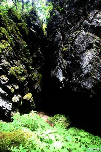 这个夏天，真的一定要去神农架的5大理由