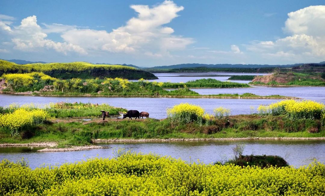 安徽铜陵永泉旅游度假区--旅游攻略!(图2) 铜陵网_铜陵_铜陵天气