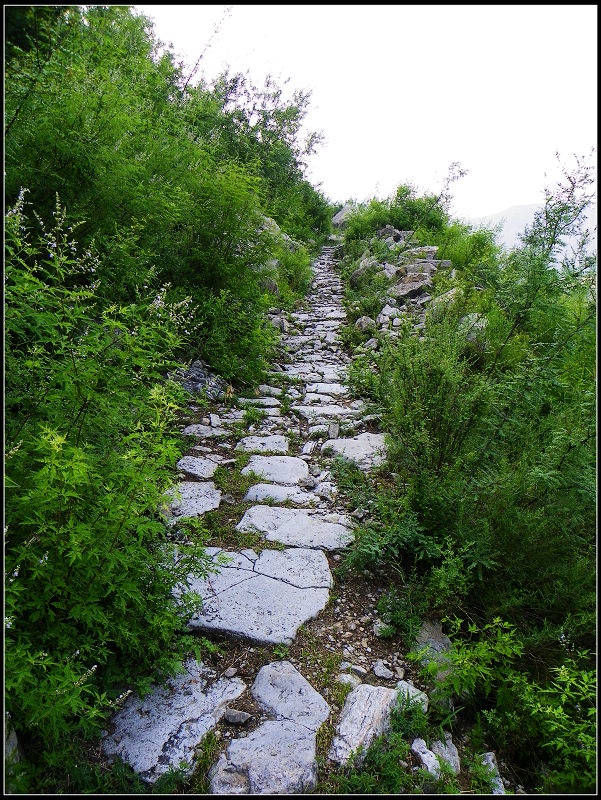 (蒙古记忆)勒布沟掠影风情打卡点(图3) 勐海县南糯山茶厂_山南_南山南