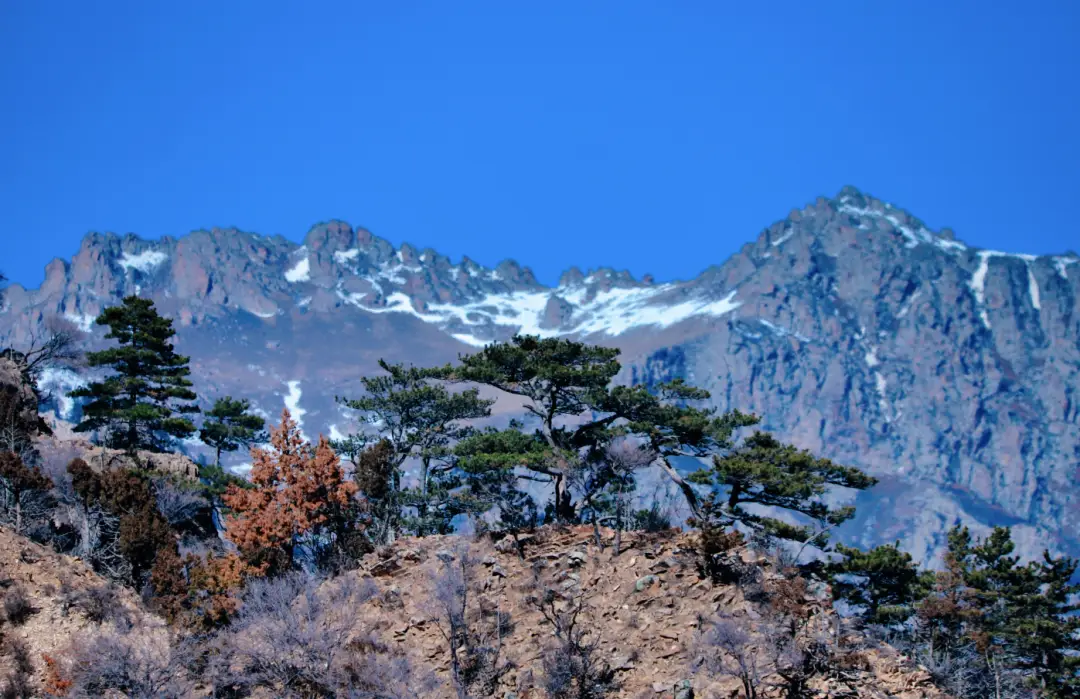 商洛景点_陕西省商洛中学_商洛