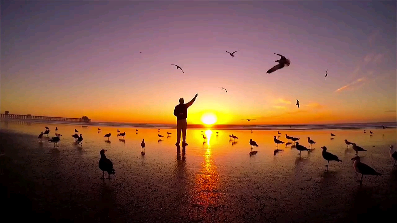 真实：_真实游戏_真实新闻