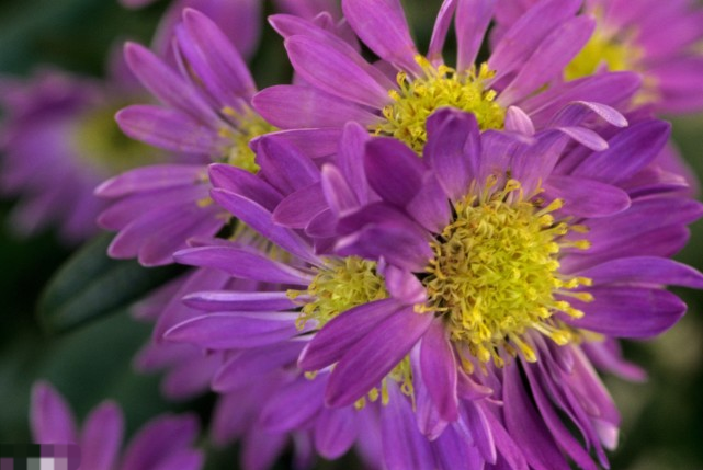 夜场很好赚钱,其实并不是这样的……!