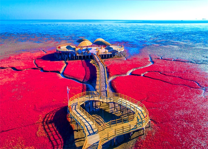 盘锦天气_盘锦出行_盘锦