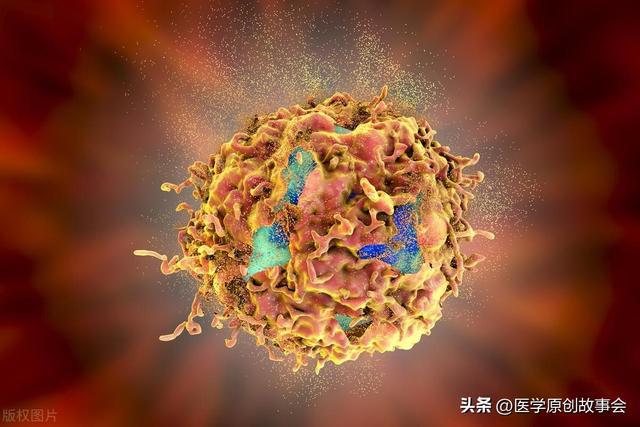 研究发现：_研究发现：_研究发现存在着同性恋基因对吗