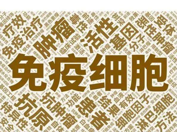 研究发现存在着同性恋基因对吗_研究发现：_研究发现：