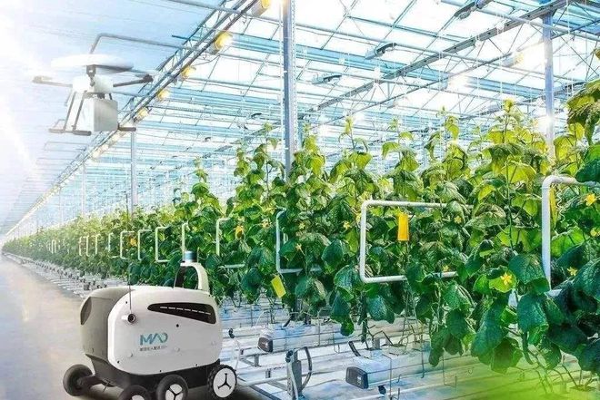 2024佳木斯·北大荒农机装备产业发展大会举办全力打造“北国农机城”