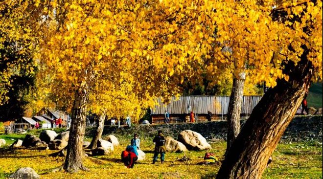 忻州古城_忻州地区锋兰达降价_忻州