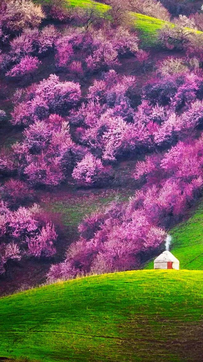 (蒙古记忆)新疆博乐市的独特魅力城市