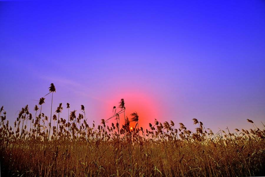 公交新增三大免费措施下月施行全程在中心城区的公交(图1) 免费停车芜湖马拉松官宣_免费咨询眼科医生_免费: