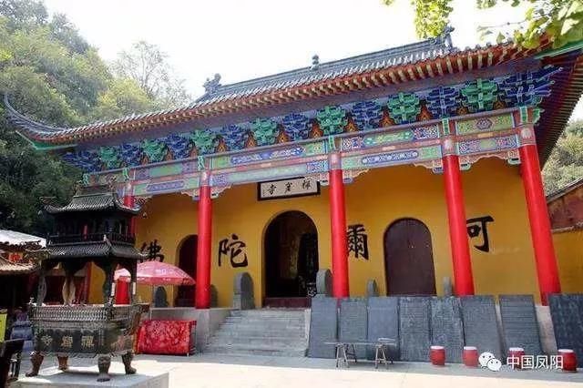 免费阅读执掌风云小说_免费停车芜湖马拉松官宣_免费：