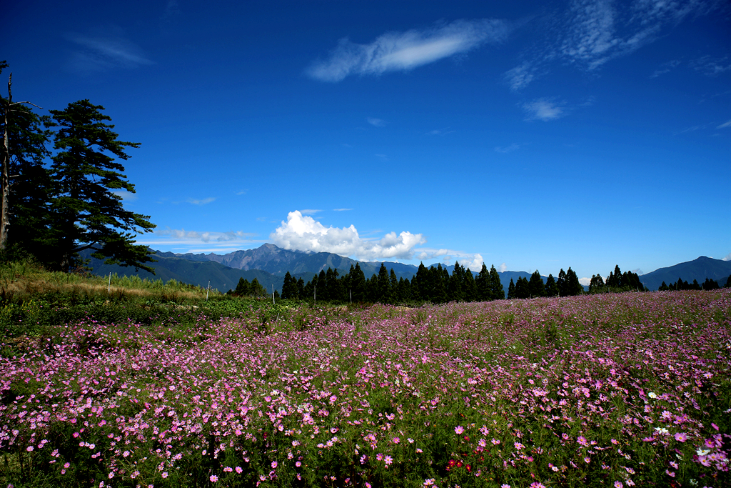惠州有什么好玩的地方呢?山的好玩胜地(图1) 惠州_惠州银龙与深圳美好创亿_惠州天气