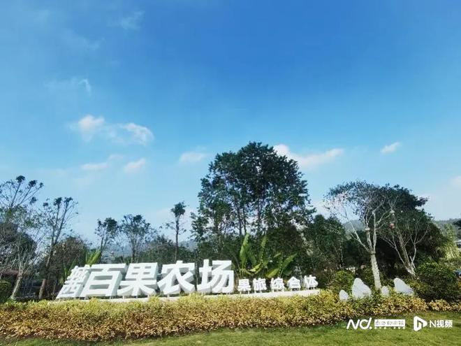 惠州有什么好玩的地方呢?山的好玩胜地(图3) 惠州银龙与深圳美好创亿_惠州_惠州天气