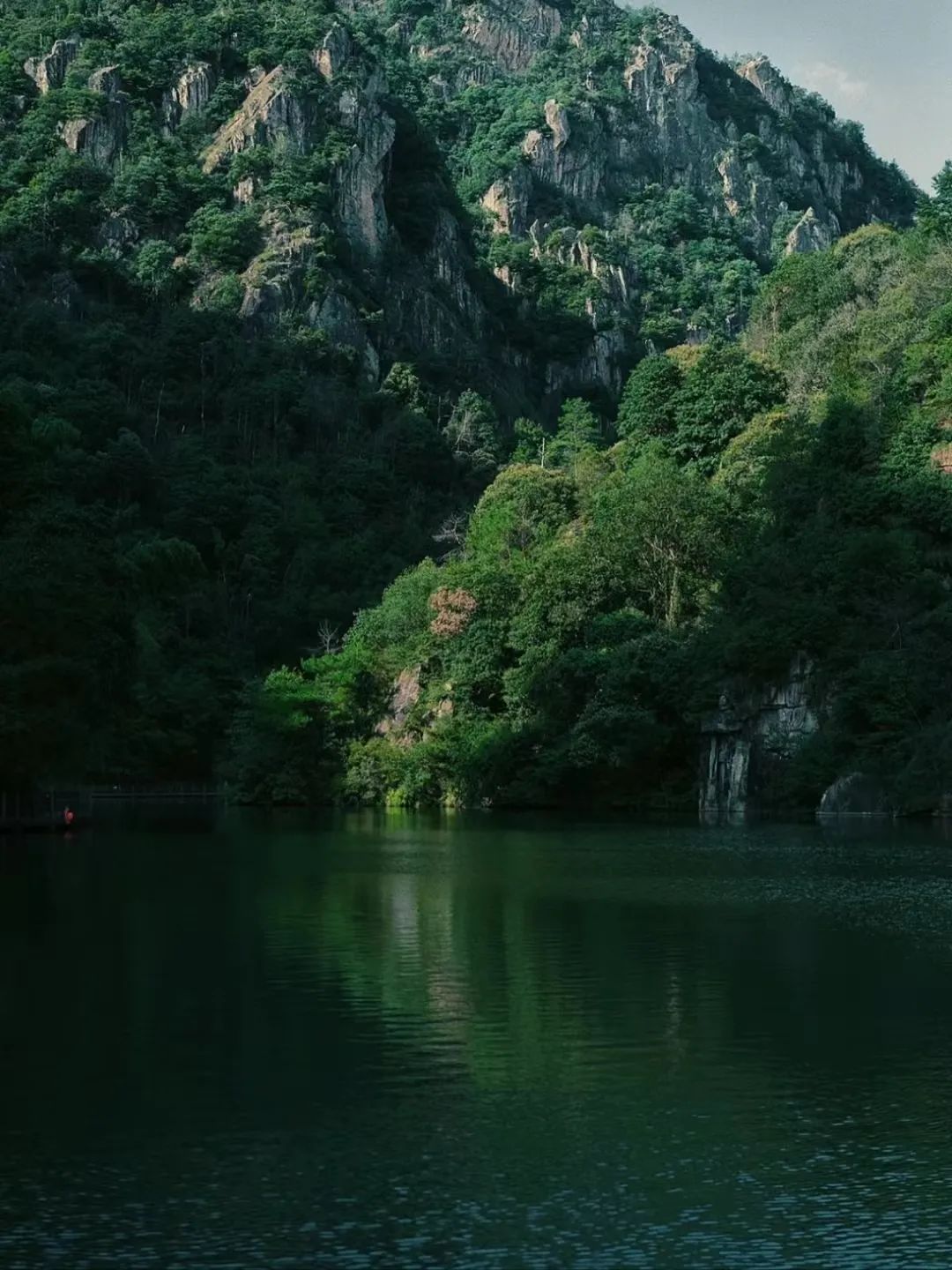 重磅!安岳县2018年重点项目实施情况公布!